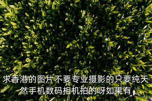 求香港的圖片不要專業攝影的只要純天然手機數碼相機拍的呀如果有
