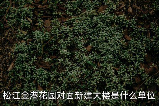 松江金港花園對面新建大樓是什么單位