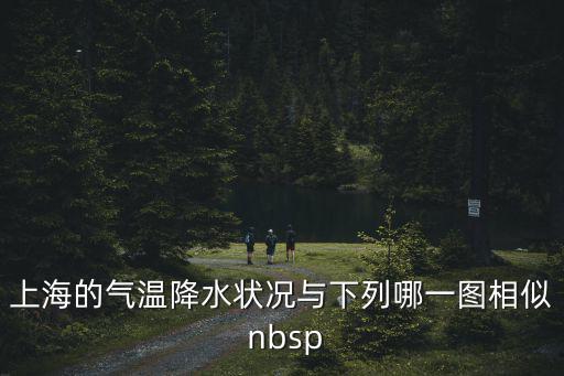 上海市雨水系統圖，上海雨水處理系統