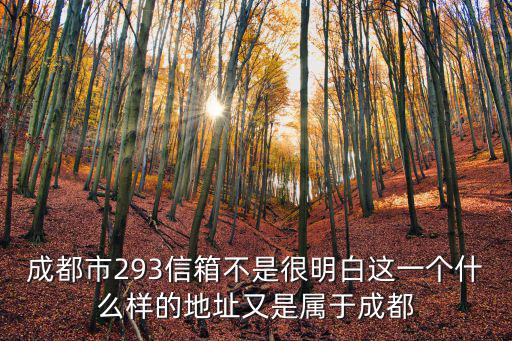 成都市293信箱不是很明白這一個什么樣的地址又是屬于成都