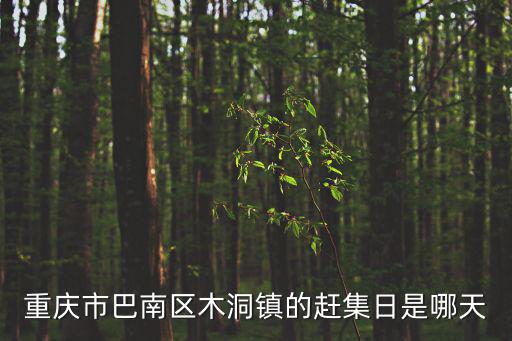 重慶市巴南區木洞鎮的趕集日是哪天