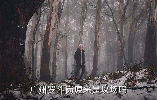 廣州羅斗崗原來是墳場嗎