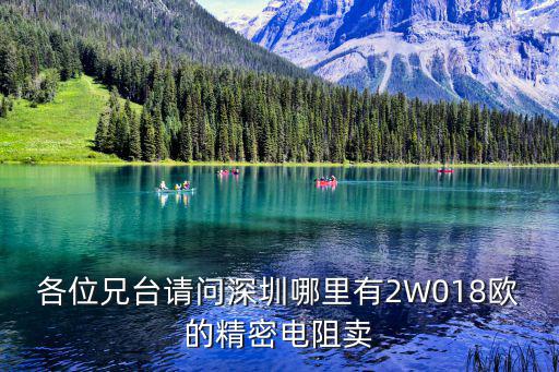 各位兄臺請問深圳哪里有2W018歐的精密電阻賣