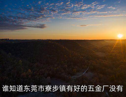 誰知道東莞市寮步鎮(zhèn)有好的五金廠沒有