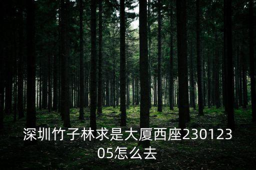 深圳竹子林求是大廈西座23012305怎么去