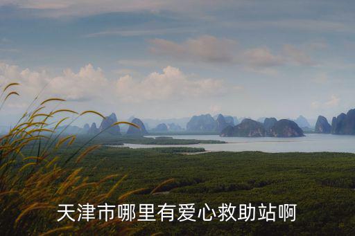 天津市哪里有愛心救助站啊