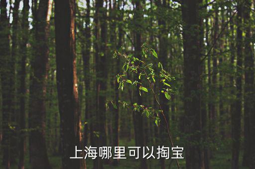 上海哪里可以掏寶