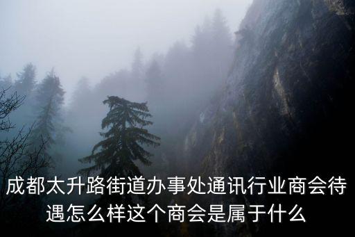 成都太升路街道辦事處通訊行業商會待遇怎么樣這個商會是屬于什么