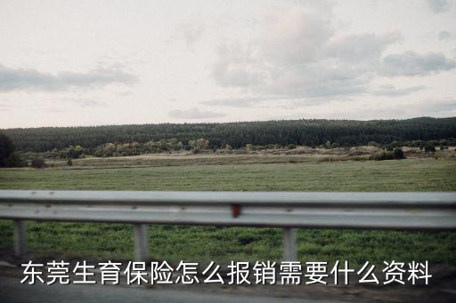 東莞生育保險怎么報銷需要什么資料