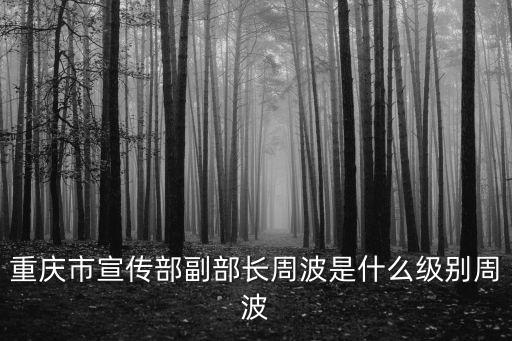 重慶市宣傳部副部長周波是什么級別周波