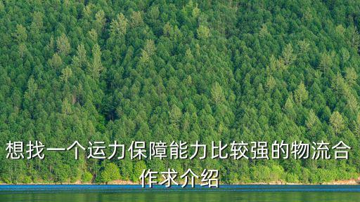 想找一個(gè)運(yùn)力保障能力比較強(qiáng)的物流合作求介紹