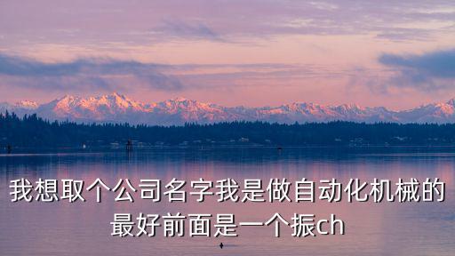 我想取個公司名字我是做自動化機械的最好前面是一個振ch