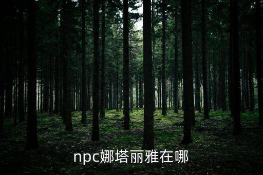 npc娜塔麗雅在哪