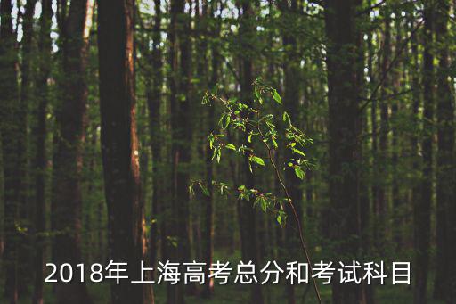 2018年上海高考總分和考試科目