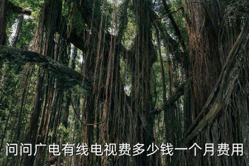 問問廣電有線電視費多少錢一個月費用