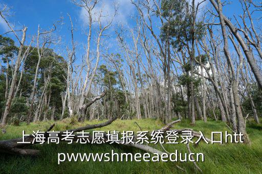 上海高考志愿填報系統登錄入口httpwwwshmeeaeducn