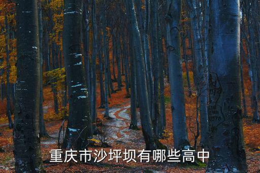 重慶市沙坪壩高中學(xué)校排名，是沙坪壩區(qū)所有的高中學(xué)校的名稱以及其所在地址包括重點和一般