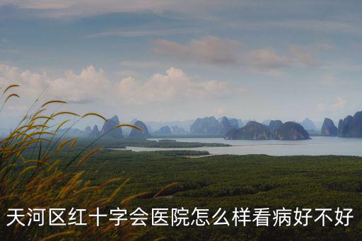 天河區紅十字會醫院怎么樣看病好不好