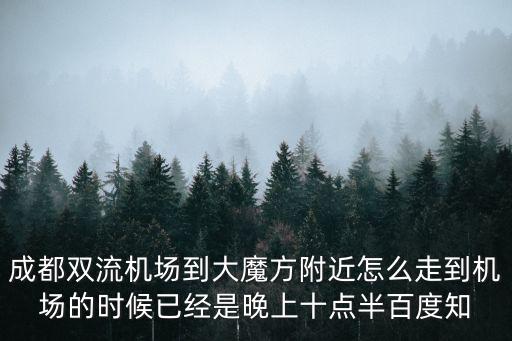 成都雙流機場到大魔方附近怎么走到機場的時候已經是晚上十點半百度知