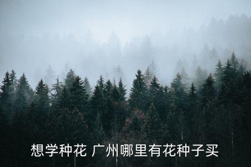 想學種花 廣州哪里有花種子買
