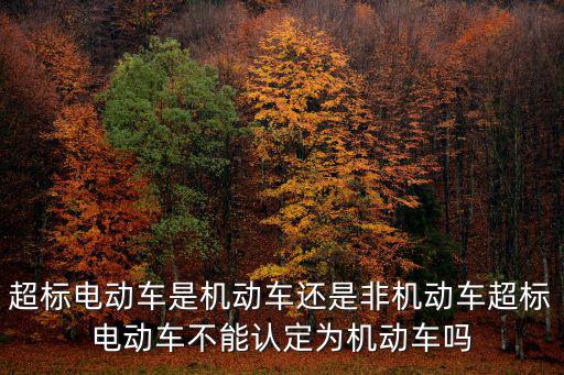 超標(biāo)電動(dòng)車(chē)是機(jī)動(dòng)車(chē)還是非機(jī)動(dòng)車(chē)超標(biāo)電動(dòng)車(chē)不能認(rèn)定為機(jī)動(dòng)車(chē)嗎