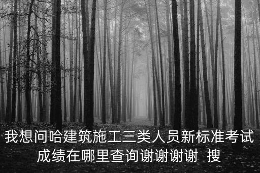 我想問哈建筑施工三類人員新標(biāo)準(zhǔn)考試成績在哪里查詢謝謝謝謝  搜