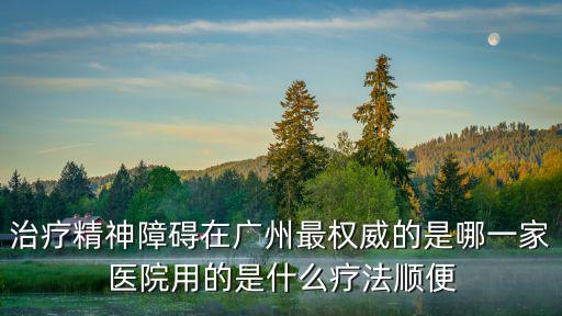 廣州比較知名的神婆，廣州最權威的豐胸手術醫生