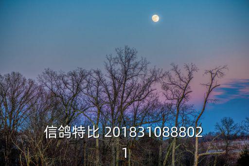 信鴿特比 2018310888021