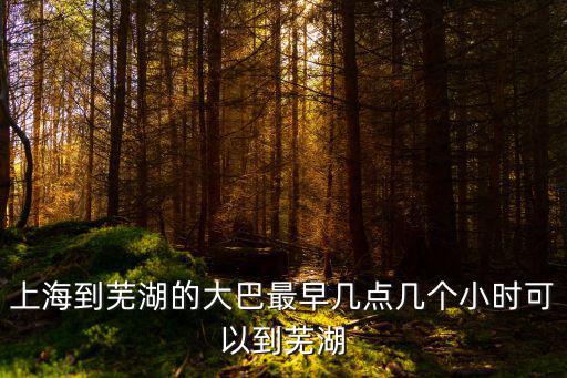 上海到蕪湖的大巴最早幾點幾個小時可以到蕪湖