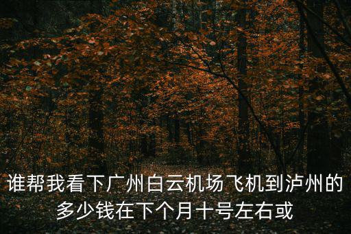 誰幫我看下廣州白云機(jī)場飛機(jī)到瀘州的多少錢在下個月十號左右或