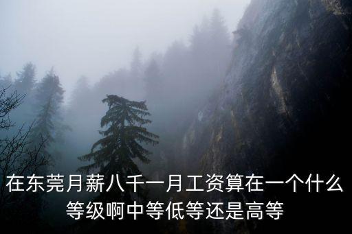 在東莞月薪八千一月工資算在一個什么等級啊中等低等還是高等