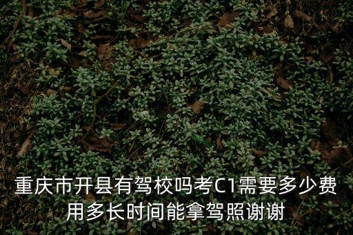 重慶市開縣有駕校嗎考C1需要多少費用多長時間能拿駕照謝謝