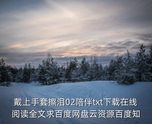 戴上手套擦淚02陪伴txt下載在線閱讀全文求百度網(wǎng)盤云資源百度知