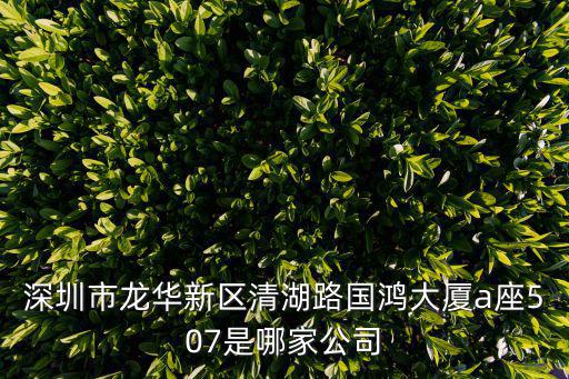 深圳永豪有限公司，永豪創(chuàng)造的品牌叫什么