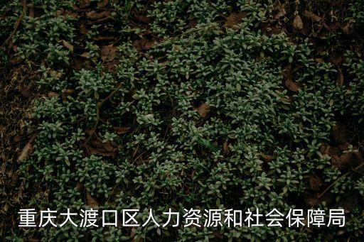 重慶大渡口區人力資源和社會保障局