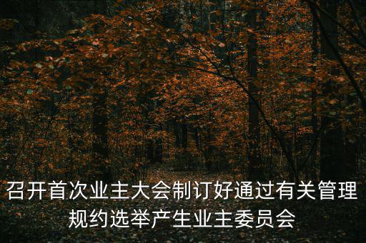 召開首次業主大會制訂好通過有關管理規約選舉產生業主委員會