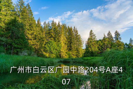 廣州市白云區廣園中路204號A座407