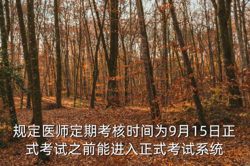 規定醫師定期考核時間為9月15日正式考試之前能進入正式考試系統