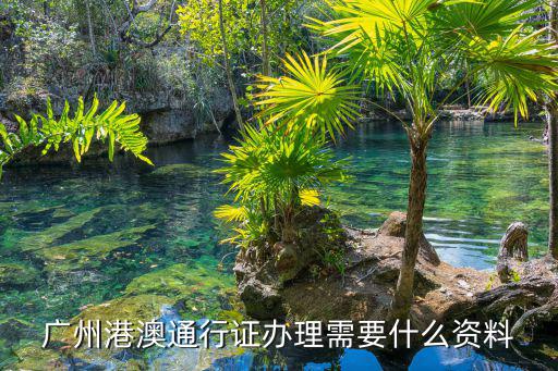 廣州港澳通行證辦理需要什么資料
