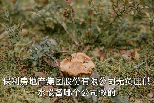 保利房地產集團股份有限公司無負壓供水設備哪個公司做的