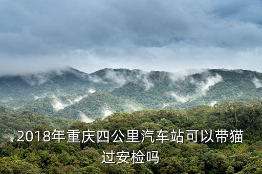 2018年重慶四公里汽車站可以帶貓過安檢嗎