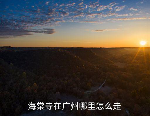 海棠寺在廣州哪里怎么走