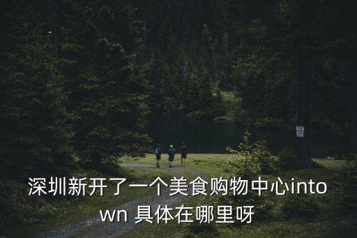 深圳新開了一個美食購物中心intown 具體在哪里呀