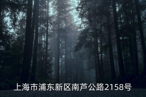 上海市解困脫困，上海哪里可以掏寶