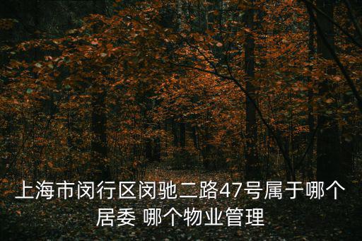 上海市閔行區閔馳二路47號屬于哪個居委 哪個物業管理