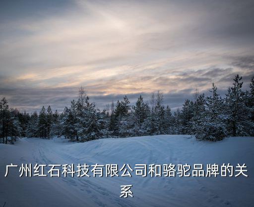 廣州紅石科技有限公司和駱駝品牌的關系