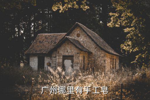 廣州百皂園手工皂，廣州哪里有手工皂