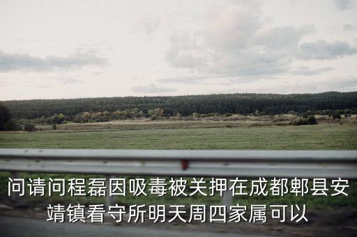 問請問程磊因吸毒被關(guān)押在成都郫縣安靖鎮(zhèn)看守所明天周四家屬可以