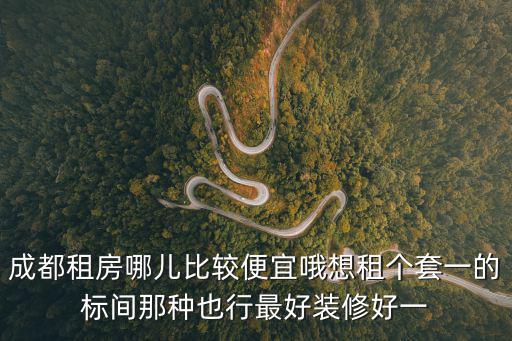 成都租房哪兒比較便宜哦想租個套一的標間那種也行最好裝修好一