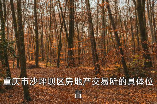 重慶市沙坪壩區房地產交易所的具體位置